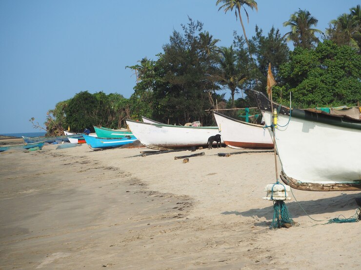 Explore the rich heritage and coastal charm of Ghana with Explore Horizons